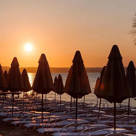 Complex Long Club Nature