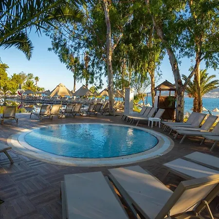 Complex Long Club Nature Didim