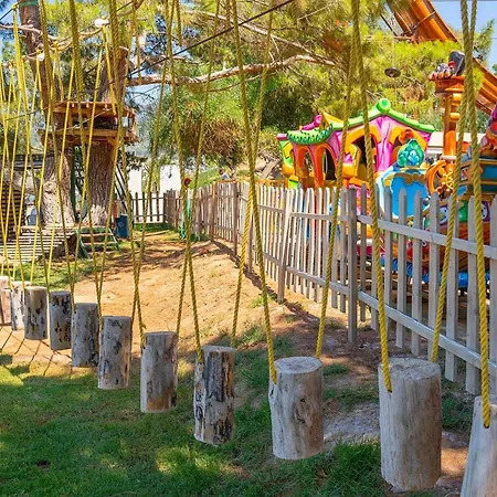 Complex Long Club Nature Didim