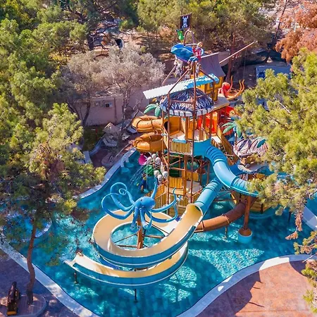 Complex Long Club Nature Didim