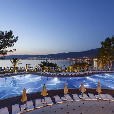 Complex Long Club Nature 5*