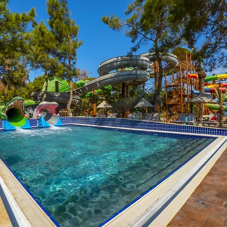 Complex Long Club Nature